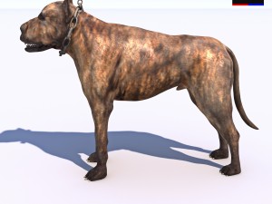 vicious dog Modello 3D