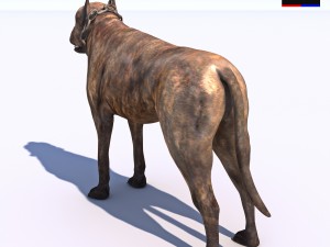 vicious dog Modello 3D