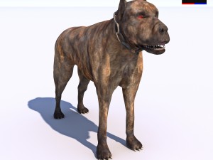 vicious dog Modello 3D