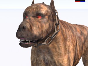 vicious dog Modello 3D