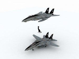 grumman f-14 tomcat 3D-Modell