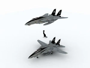 grumman f-14 tomcat 3D Model