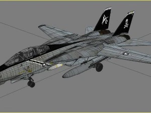 grumman f-14 tomcat 3D Model