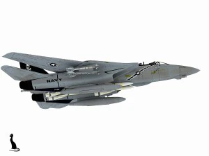 grumman f-14 tomcat 3D Model