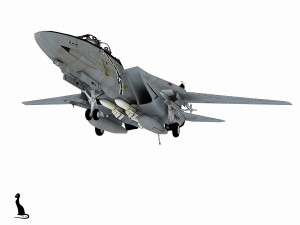 grumman f-14 tomcat 3D-Modell