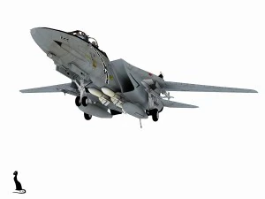 grumman f-14 tomcat 3D Model