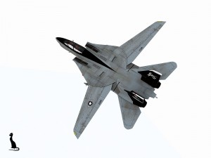 grumman f-14 tomcat 3D-Modell