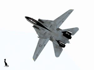 grumman f-14 tomcat 3D Model