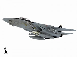 grumman f-14 tomcat 3D-Modell