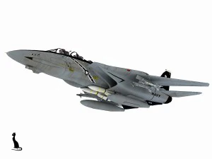 grumman f-14 tomcat 3D Model