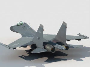 Shenyang J-16 D EW Modello 3D