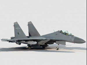 Shenyang J-16 D EW Modello 3D