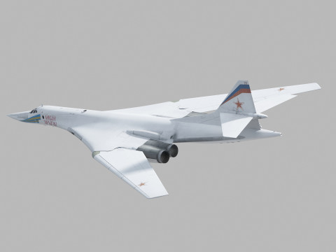 Tupolev Tu-160 Swan - Blackjack 3D 模型