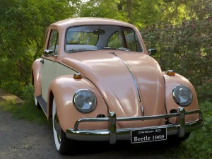 volkswagen beetle fusca 1969 3D Model