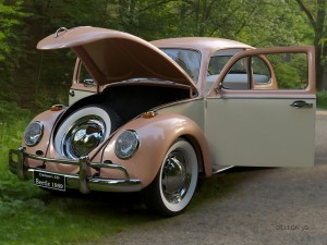 volkswagen beetle fusca 1969 3D Model