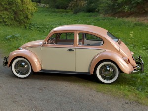 volkswagen beetle fusca 1969 3D Model