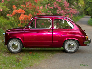 fiat 600 3Dモデル