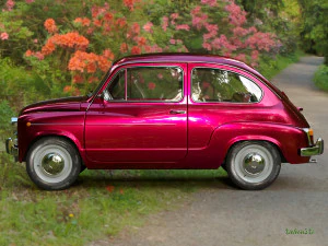fiat 600 3D Model