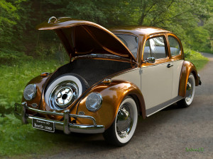 golden beetle fusca 1969 Model 3D