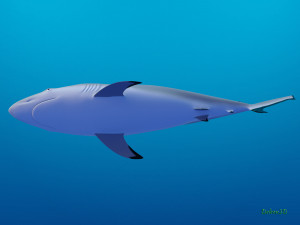 blacktip reef shark 3D मॉडल