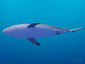 blacktip reef shark 3D Model
