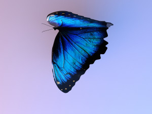 unique chair butterfly 3D 모델