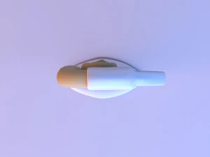 seashell unique lamp 3D Model