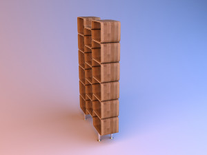 cupboard with cells and shelves Modelo 3D