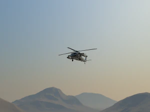 black hawk uh-602 - animated 3D Model