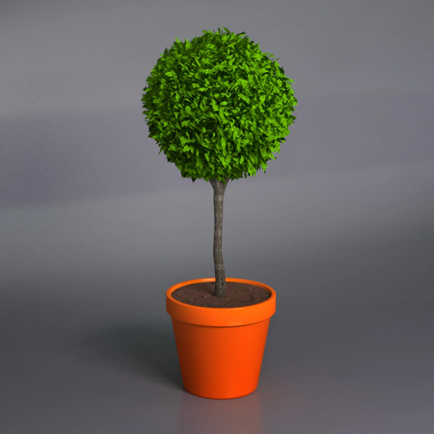 interior plant 3D Model .c4d .max .obj .3ds .fbx .stl .blend 
