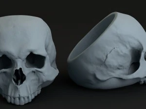 ring skull 3D Print Model