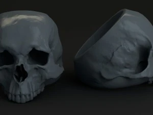ring skull 3D Print Model