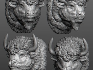 bison 3D Model