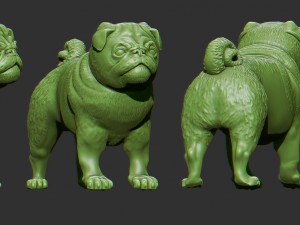pug dog Modelo 3D