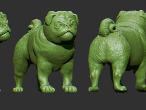 pug dog 3D Model