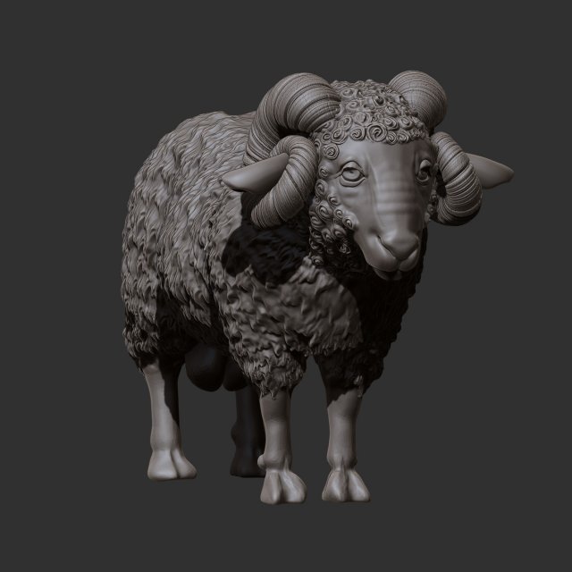 ram Modelo 3D .c4d .max .obj .3ds .fbx .stl .blend 