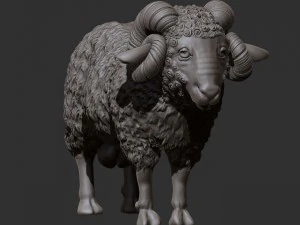 baran Model 3D