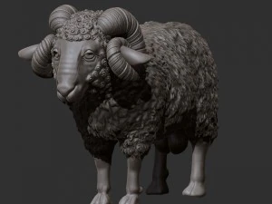 ram 3D Model