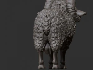 ram 3D Model