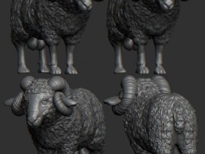ram 3D Model