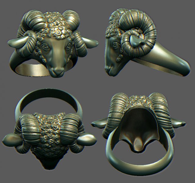 ring ram 3D Модель .c4d .max .obj .3ds .fbx .stl .blend 