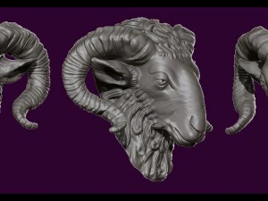 the head of a ram 3D Print Model