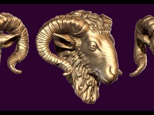 the head of a ram 3D-Druckmodell