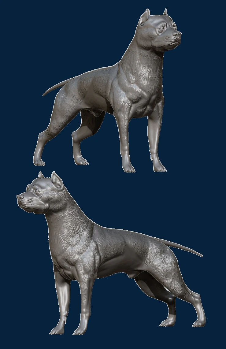 pitbull 3D Print Model .c4d .max .obj .3ds .fbx .stl .blend 