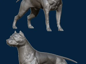 pitbull 3D Print Model