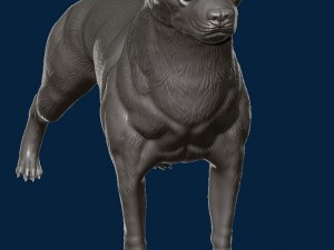pitbull 3D 打印模型