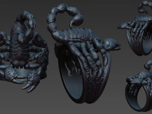 ring of scorpio 3D Print Model