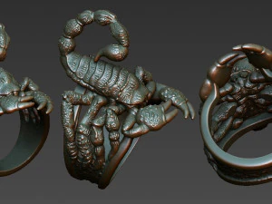 ring of scorpio 3D Print Model