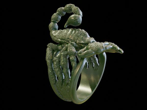 ring of scorpio 3D Print Model