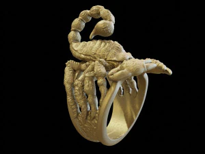 ring of scorpio 3D Print Model